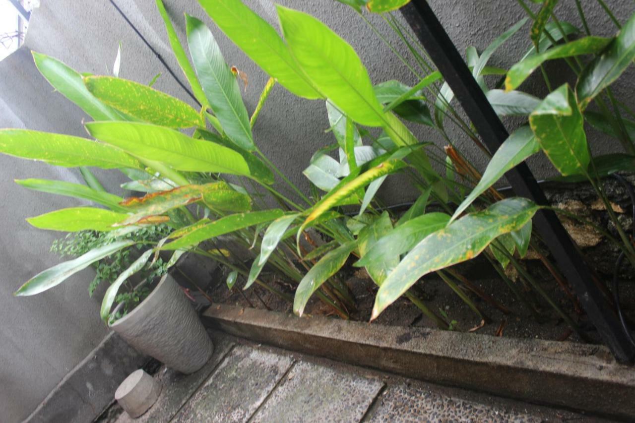 Paranyogan Homestay 2 Jimbaran  Bagian luar foto