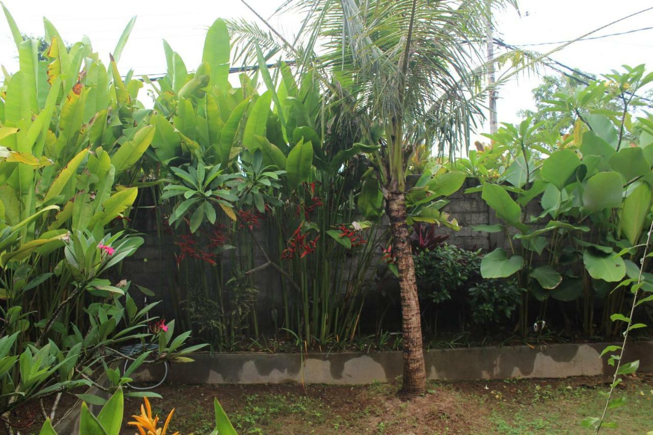 Paranyogan Homestay 2 Jimbaran  Bagian luar foto
